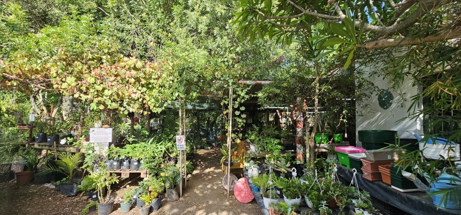 5 Bedroom Property for Sale in Swellendam Western Cape